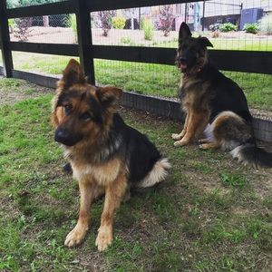 Meet your Posher, Jill